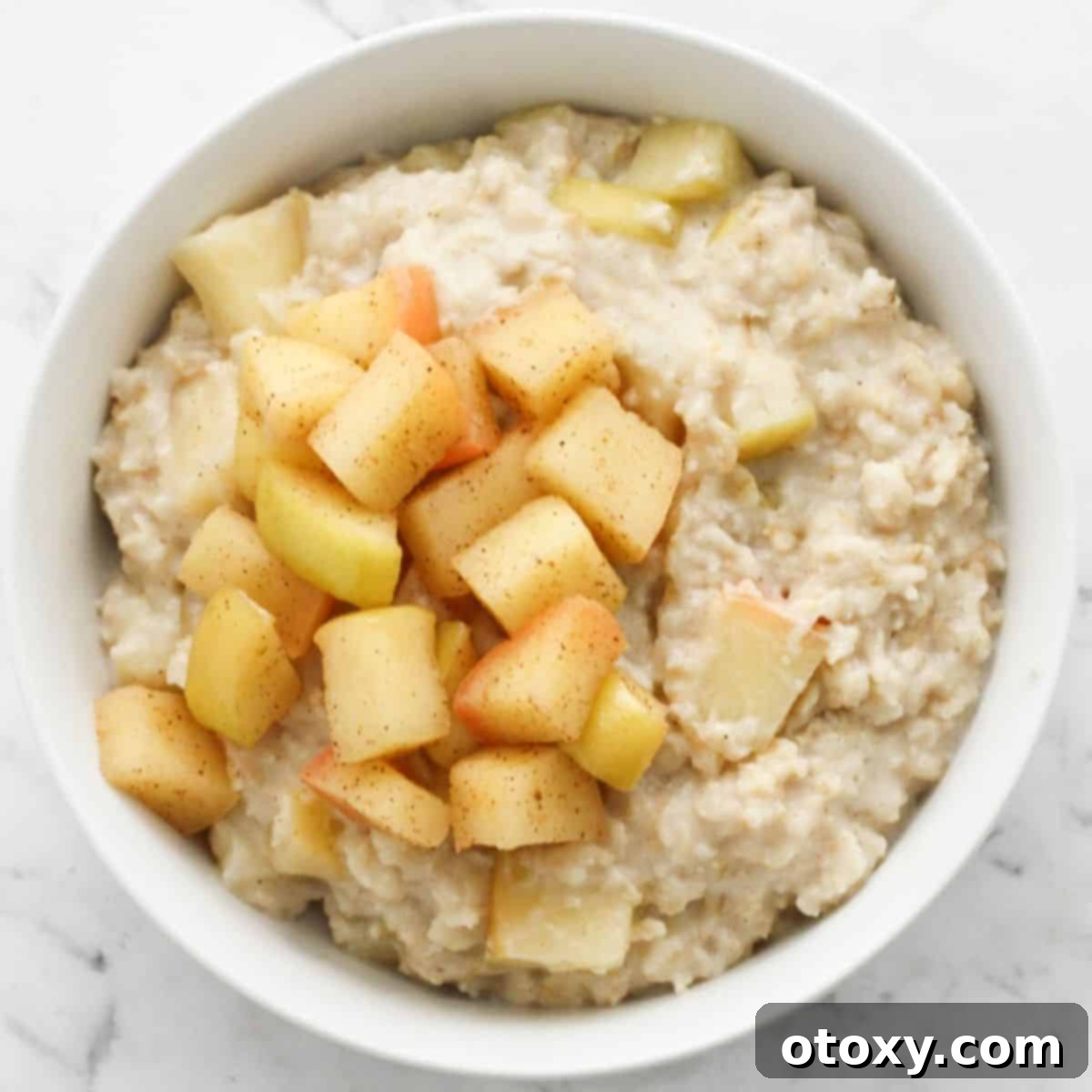 Harvest Apple Cinnamon Oats 1 featured 10698