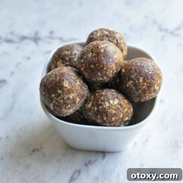 Wholesome Oatmeal Raisin Power Bites 1 featured 2758