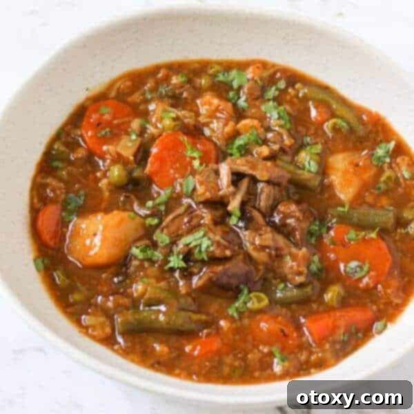 Rustic Beef and Garden Stew 1 featured 517