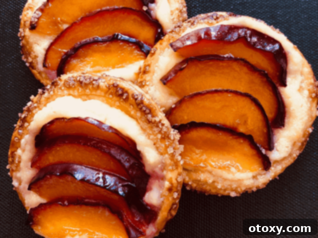 20 Effortless Puff Pastry Delights 22 Delicate Mini Plum Tartlets with sliced plums, baked on flaky puff pastry.