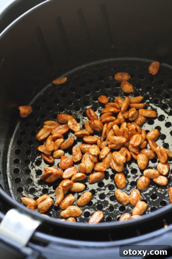 Easy Honey Roasted Peanuts in Your Oven or Air Fryer 9 Golden brown roasted peanuts in an air fryer basket, perfectly cooked and ready for the next step.