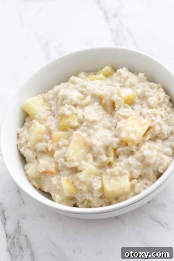 Harvest Apple Cinnamon Oats 3 A close-up view of a bowl of apple cinnamon oatmeal, showing its creamy texture and bits of tender apple, ready to be customized with favorite toppings.