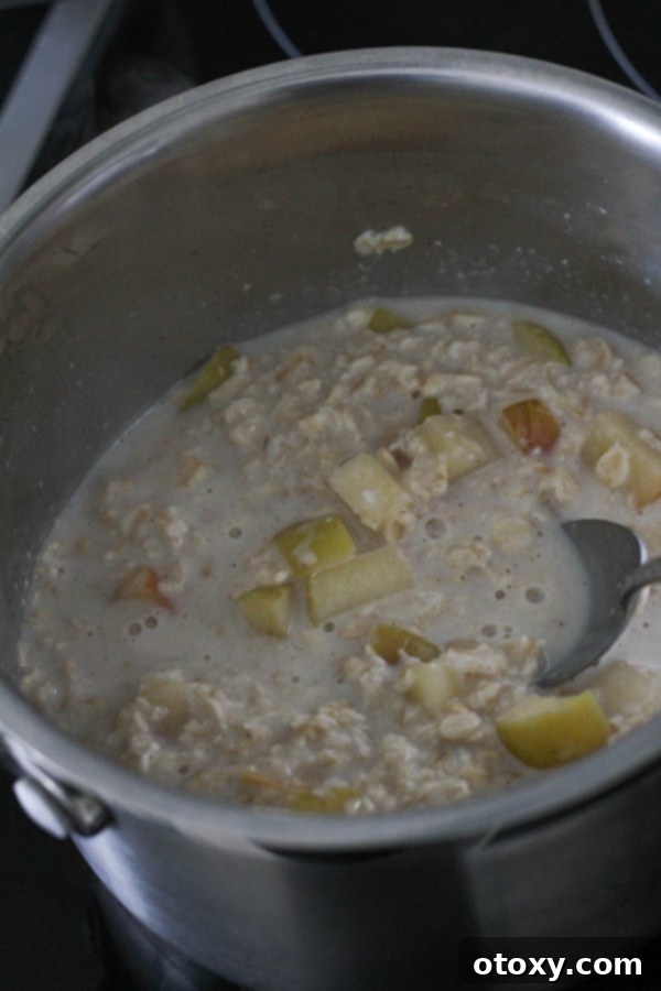 Harvest Apple Cinnamon Oats 6 Oats, milk, and cinnamon added to the saucepan with the sautéed apple pieces, stirring to combine before simmering to create a creamy oatmeal base.