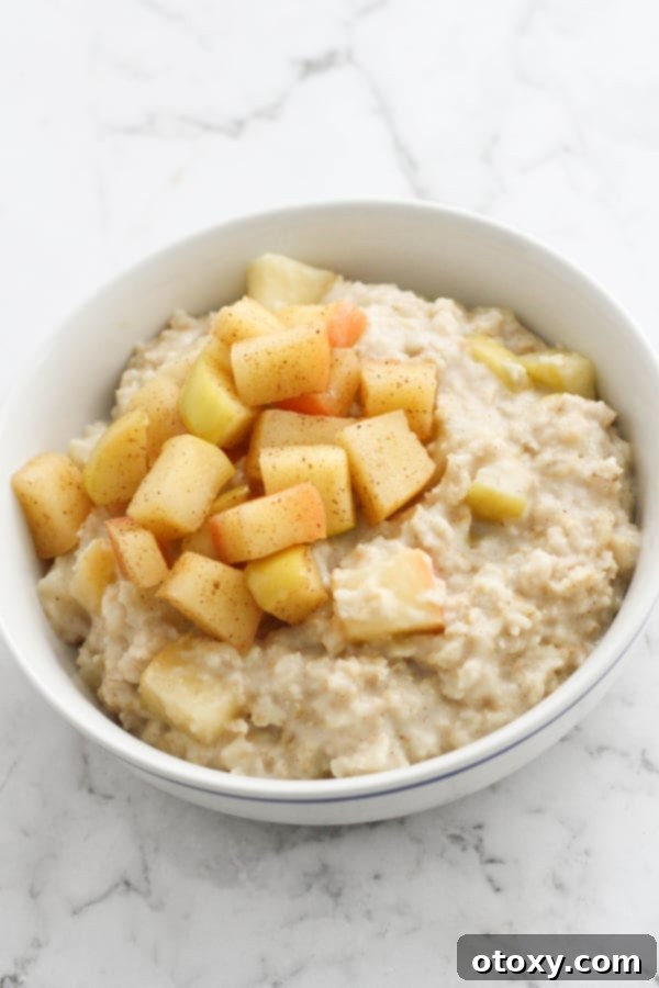 Harvest Apple Cinnamon Oats 8 A vibrant bowl of apple cinnamon oatmeal, garnished with additional stewed apple pieces and a sprinkle of cinnamon, invitingly presented for a delicious breakfast.