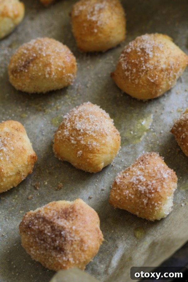 Air fryer cooked cinnamon sugar pretzel bites, coated and ready to eat, shown on a baking tray.