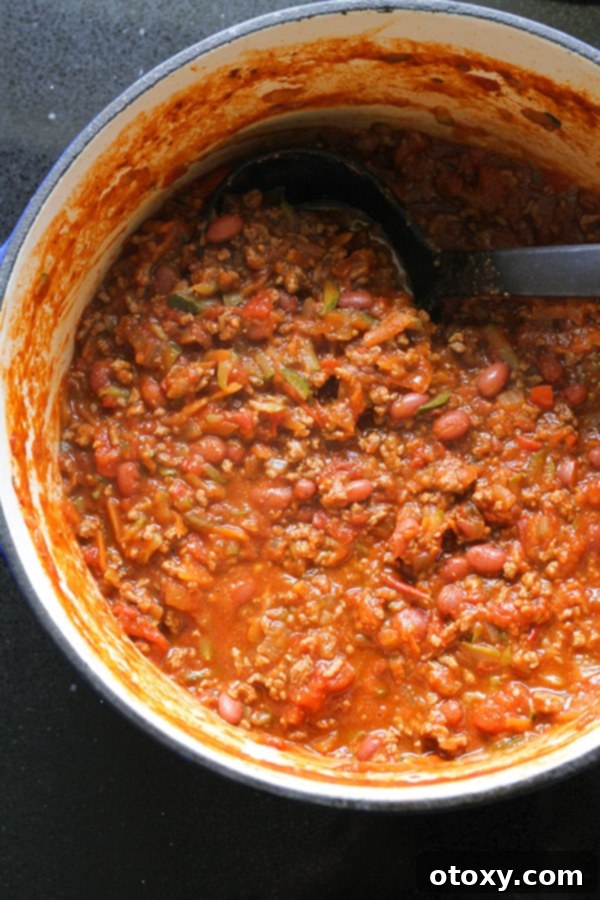 A large pot of hearty chilli con carne, with a ladle dipped into the rich, simmering stew, ready to be served.