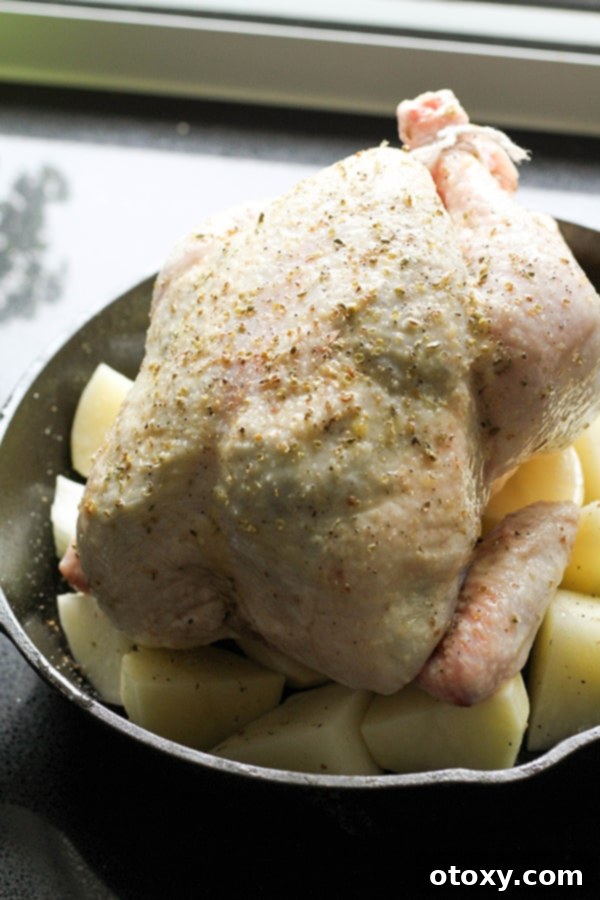 whole chicken and potatoes in a cast iron pan.