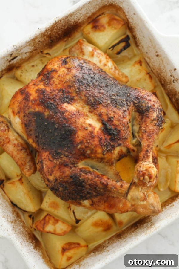 roast chicken and potatoes in a white baking dish.