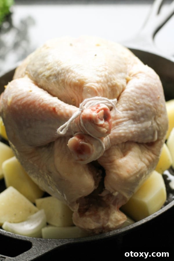 whole chicken and potatoes in a cast iron pan.