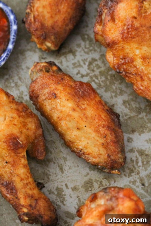 Air-Fried Wing Perfection 3 A single, perfectly cooked and crispy air fryer chicken wing rests on a sleek metal tray, highlighting its golden texture.