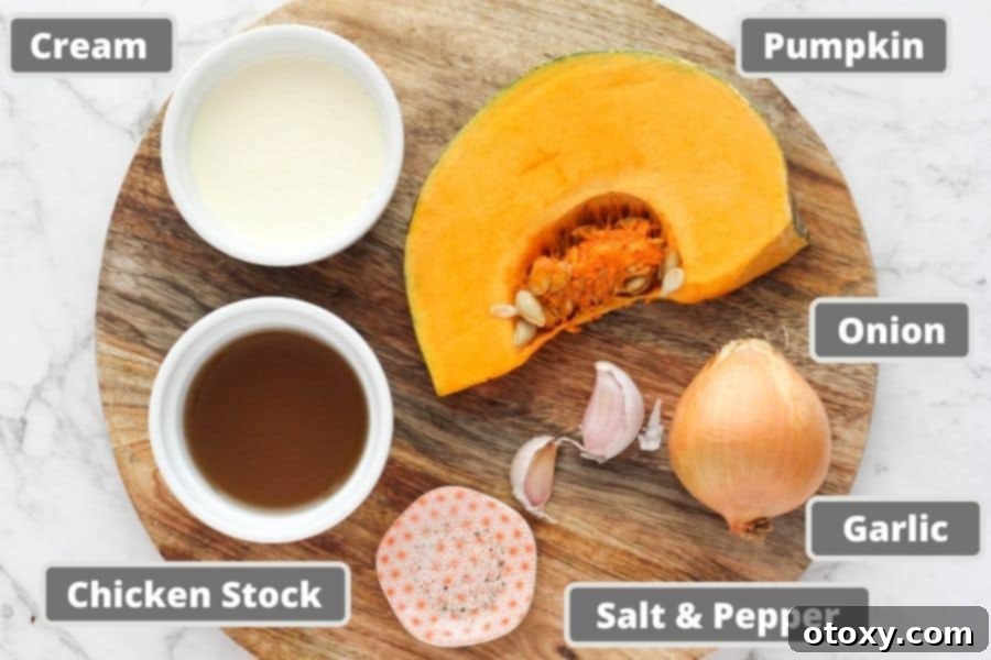 Fresh ingredients for pumpkin soup laid out, including sliced onion, garlic cloves, a whole pumpkin, and a carton of chicken stock.