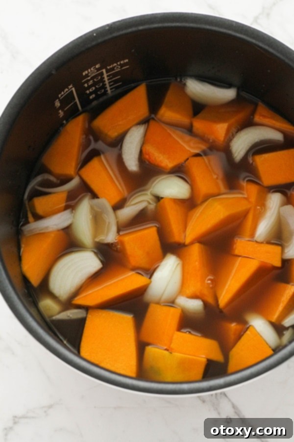 Raw pumpkin, sliced onion, and garlic cloves submerged in chicken stock in a slow cooker, seasoned with salt and pepper.