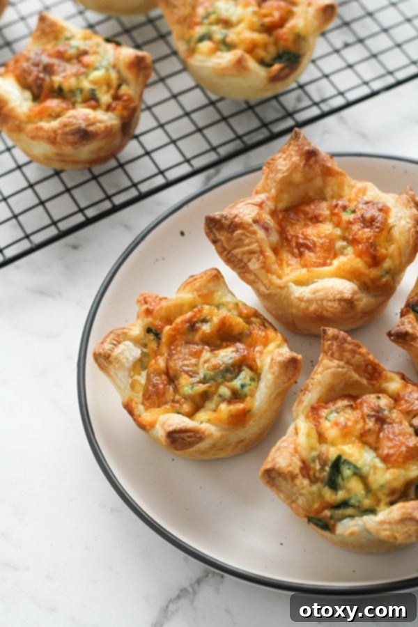 Close-up of golden brown mini vegetarian quiches on a white plate, garnished for serving.