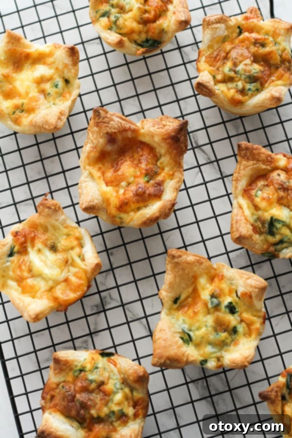 Perfectly baked mini quiches cooling on a wire rack, showcasing their crisp crusts and vibrant fillings.