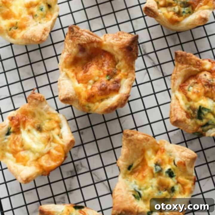 Cooked mini quiches arranged on a wire rack to cool down.