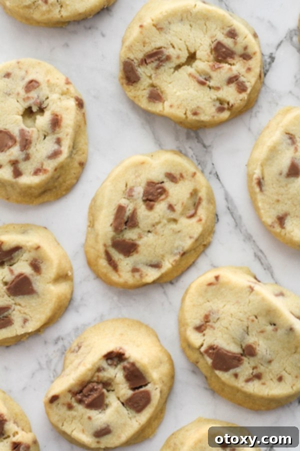 Buttery chocolate chip shortbread cookies artfully arranged on a pristine marble background, ready to be enjoyed.