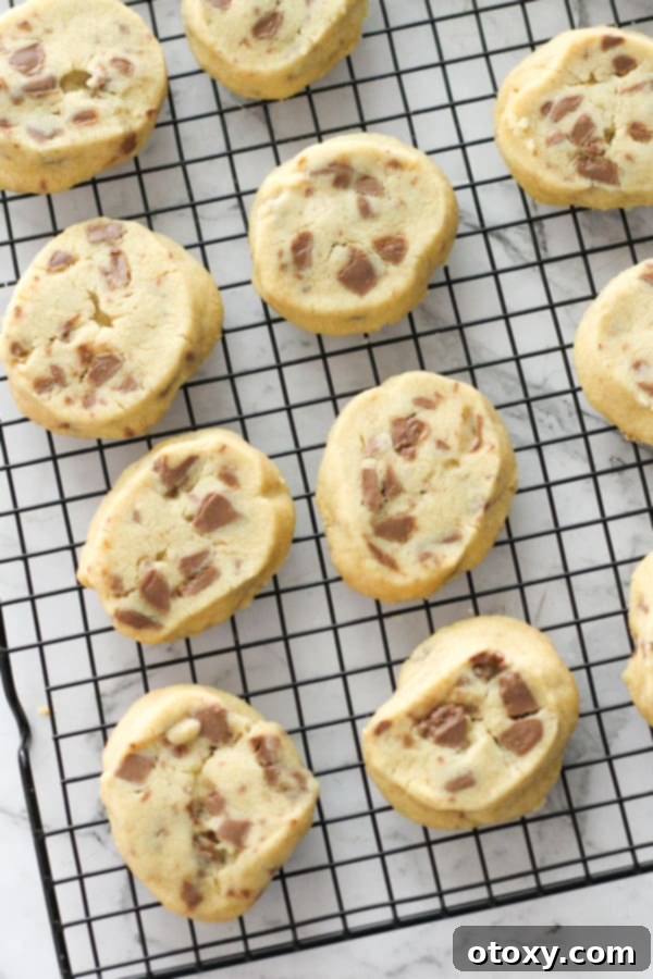 A batch of delicious chocolate chip shortbread cookies cooling on a wire rack, perfectly golden and ready to be served.