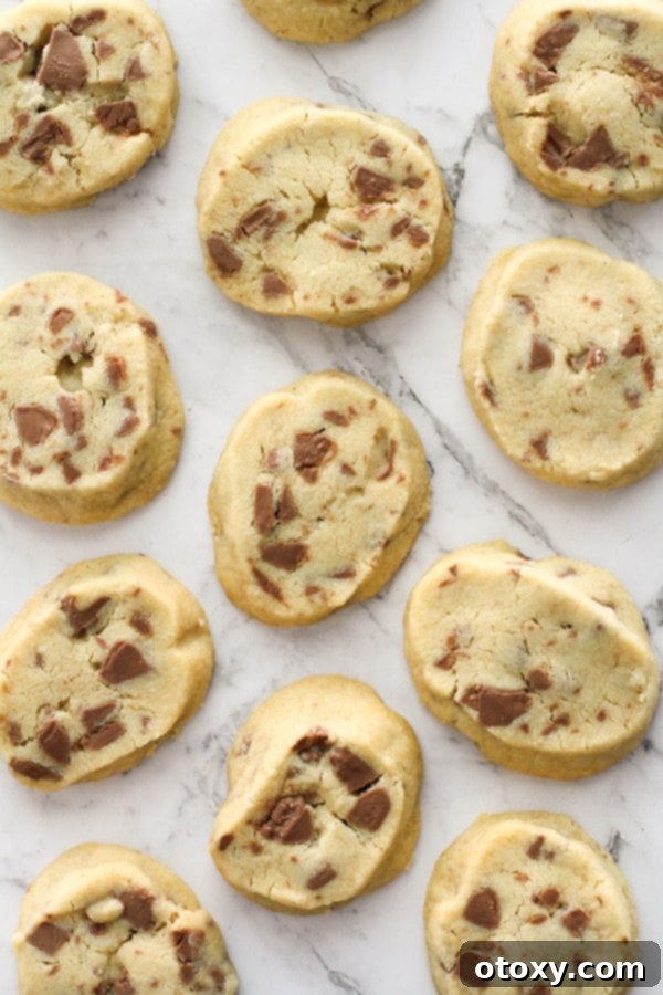 A close-up of a perfectly baked chocolate chip shortbread cookie, showcasing its crumbly texture and rich chocolate filling, on a marble background.