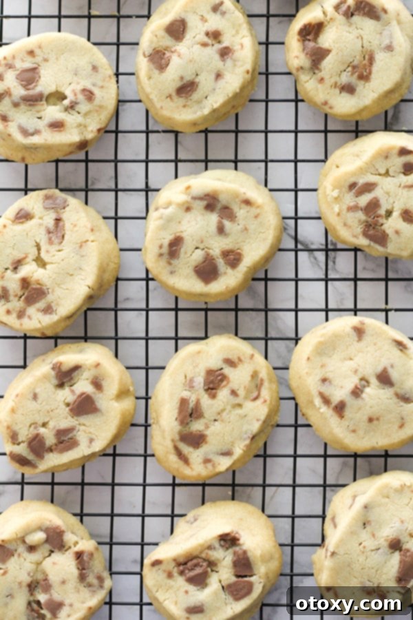 Freshly baked chocolate chip shortbread cookies cooling on a wire rack, showcasing their golden edges and rich chocolate chunks.