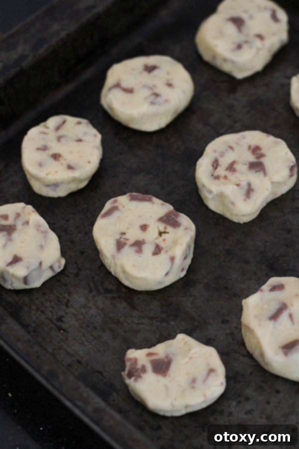 Freshly baked chocolate chip shortbread cookies cooling directly on a baking sheet, showcasing their crisp edges.