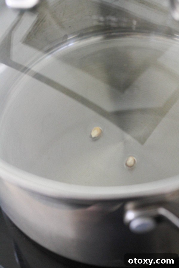 Two unpopped kernels resting in oil in a saucepan.
