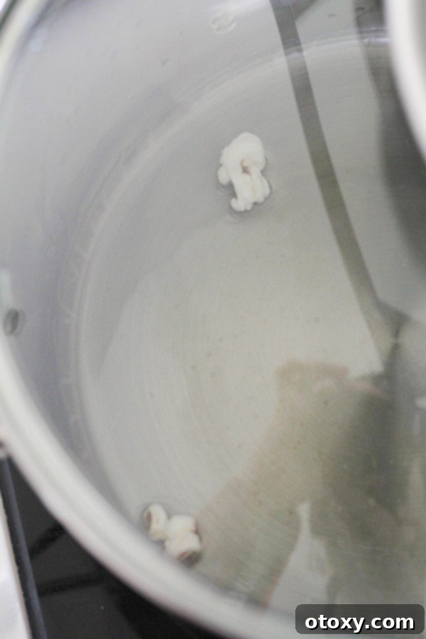 Two popped kernels in a saucepan, indicating ideal temperature.