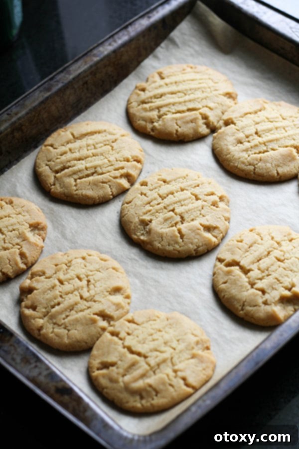 Freshly baked golden syrup cookies on a baking tray, cooled and ready to be transferred.
