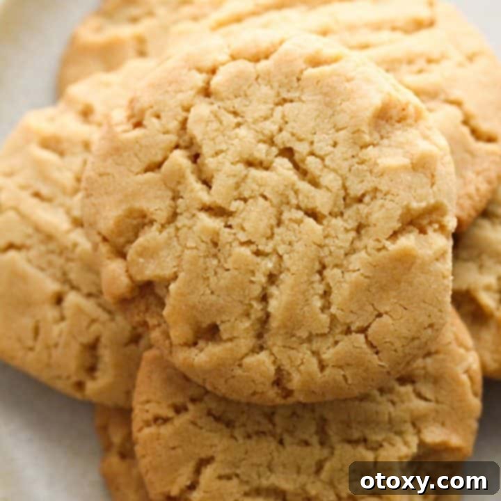 A beautiful stack of golden syrup cookies, ready to be enjoyed.