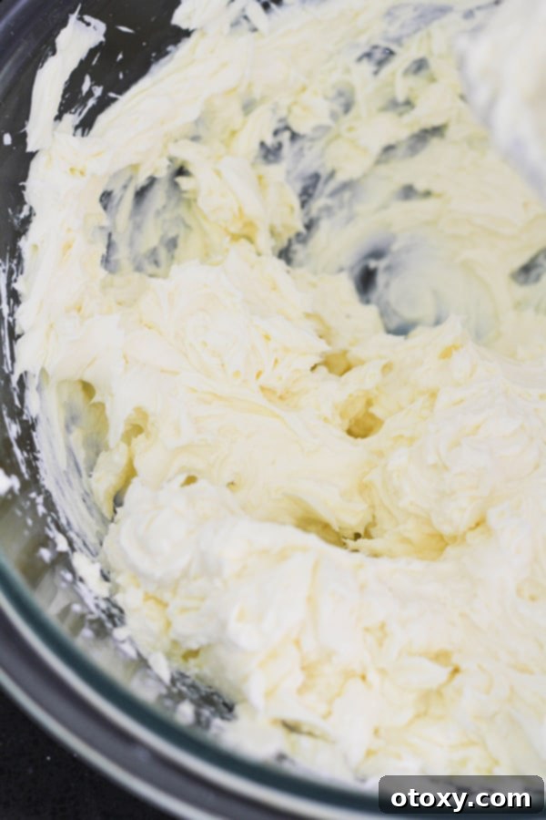 Whipped cream cheese and sugar in a mixing bowl, creating a smooth base for the cheesecake filling.