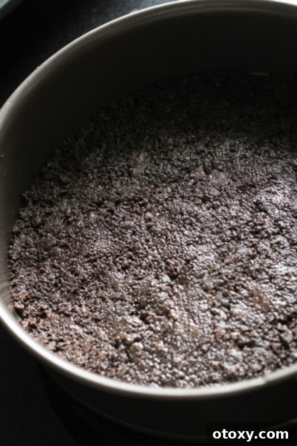 The firmly pressed Oreo cookie base chilling in a springform pan.