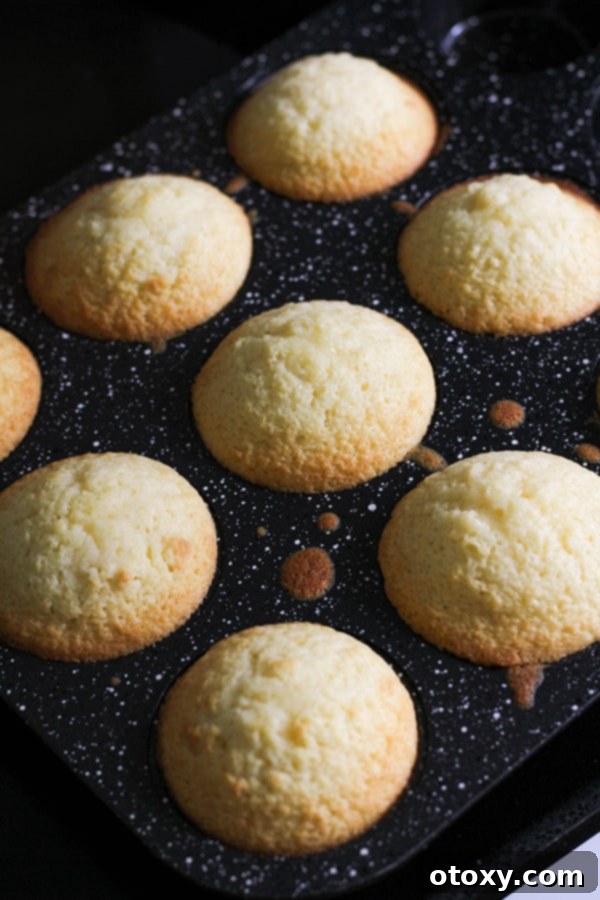 baked cupcakes in muffin tray.