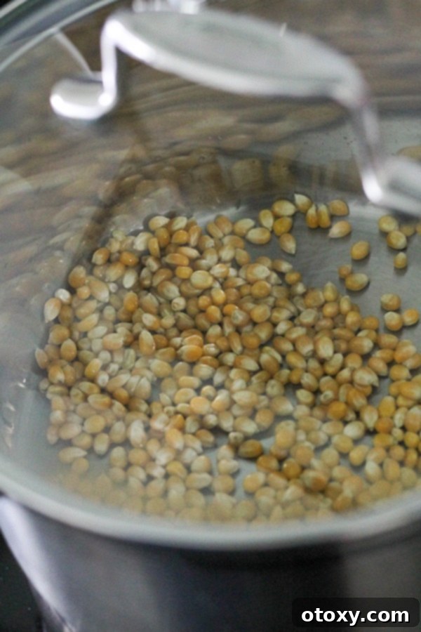 Popcorn kernels starting to pop in a saucepan with a lid on the stovetop.