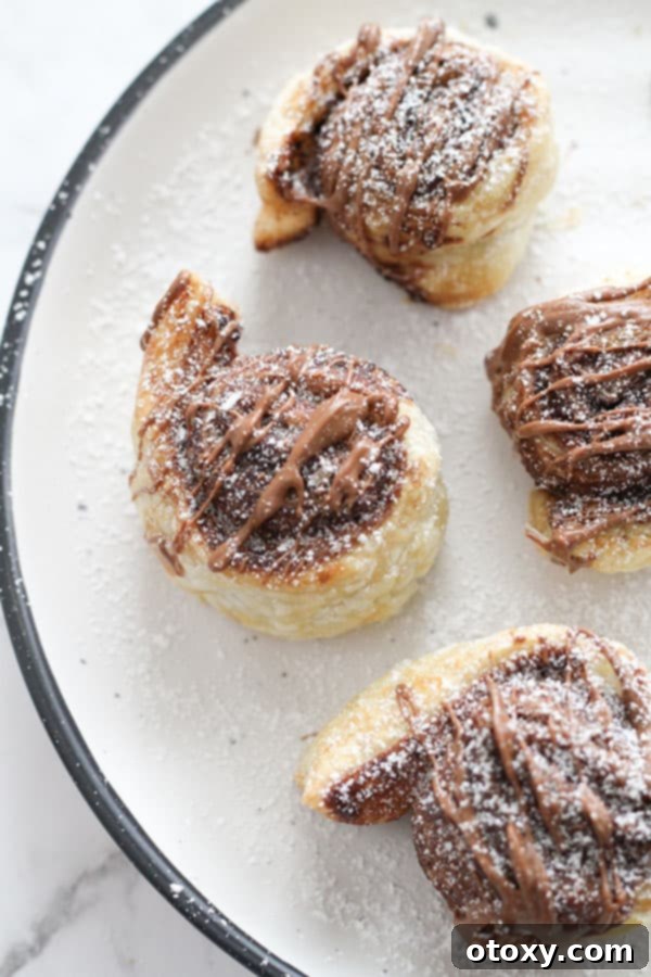 Chocolate Nutella Swirl Pastries Baked or Air Fried 12 a plate of perfectly baked chocolate pinwheels, lightly dusted with powdered sugar.