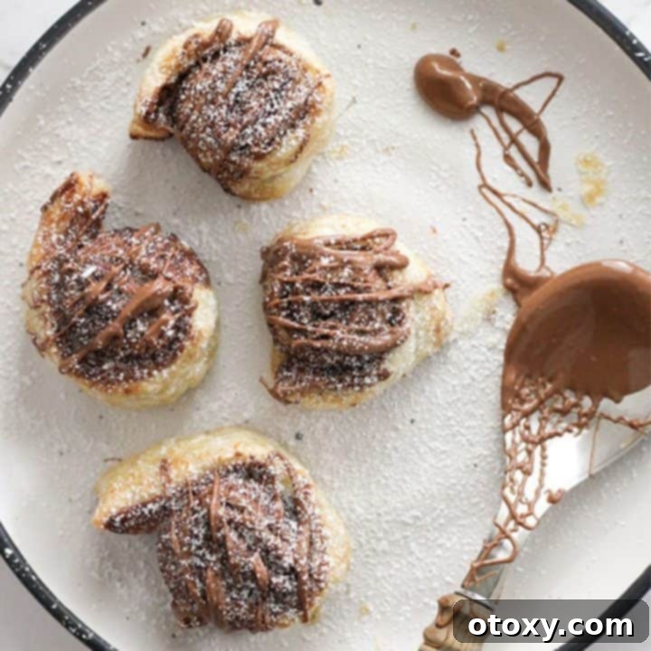 Chocolate Nutella Swirl Pastries Baked or Air Fried 13 golden brown chocolate pinwheels on a white plate, drizzled with melted chocolate.