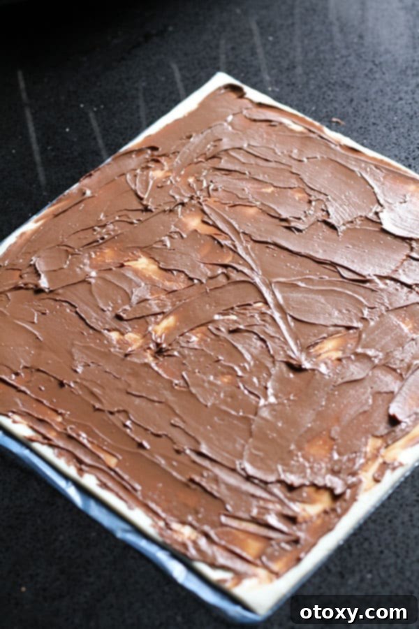 Chocolate Nutella Swirl Pastries Baked or Air Fried 5 a sheet of puff pastry laid flat and completely covered in a layer of Nutella.