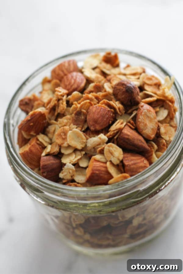 A stylish glass jar filled with golden, inviting Air Fryer Granola, perfectly prepared for long-term storage or immediate serving.