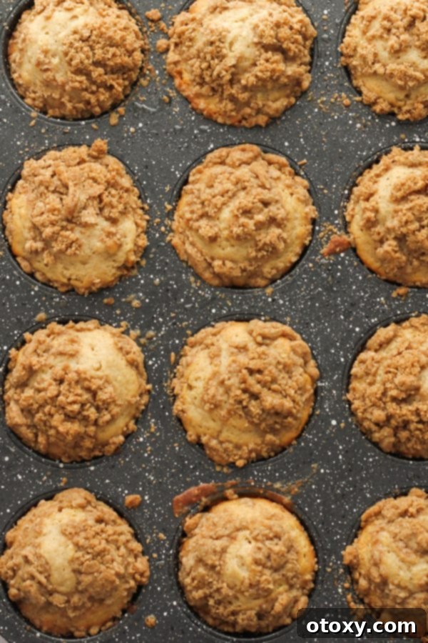 Freshly baked cinnamon muffins, golden and risen, still in the muffin tray after being removed from the oven.