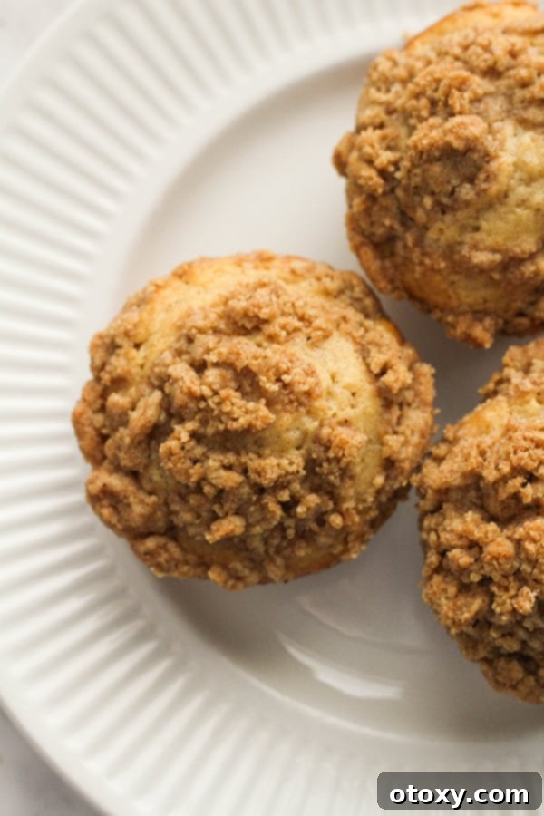 A freshly baked cinnamon muffin on a pristine white plate, showcasing its golden brown topping and inviting texture.