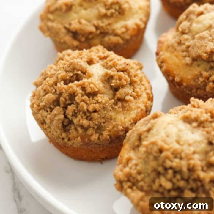 Cinnamon muffins on a white plate, ready to be served.