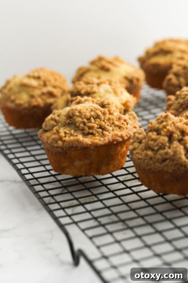 A close-up shot of several baked cinnamon muffins cooling on a wire rack, highlighting their crumbly tops.