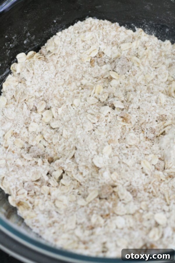 Rolled oats, plain flour, brown sugar, and desiccated coconut ready in a glass mixing bowl.