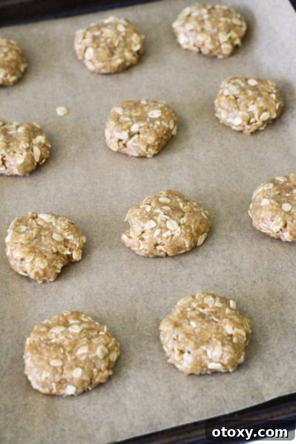 Unbaked Anzac biscuits neatly arranged on a baking tray, spaced for even baking.