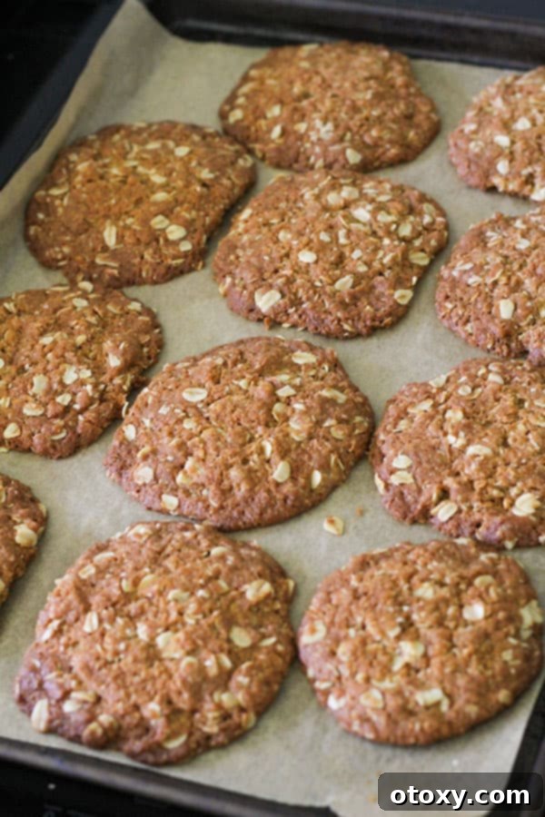 Freshly baked golden-brown Anzac biscuits, just out of the oven.