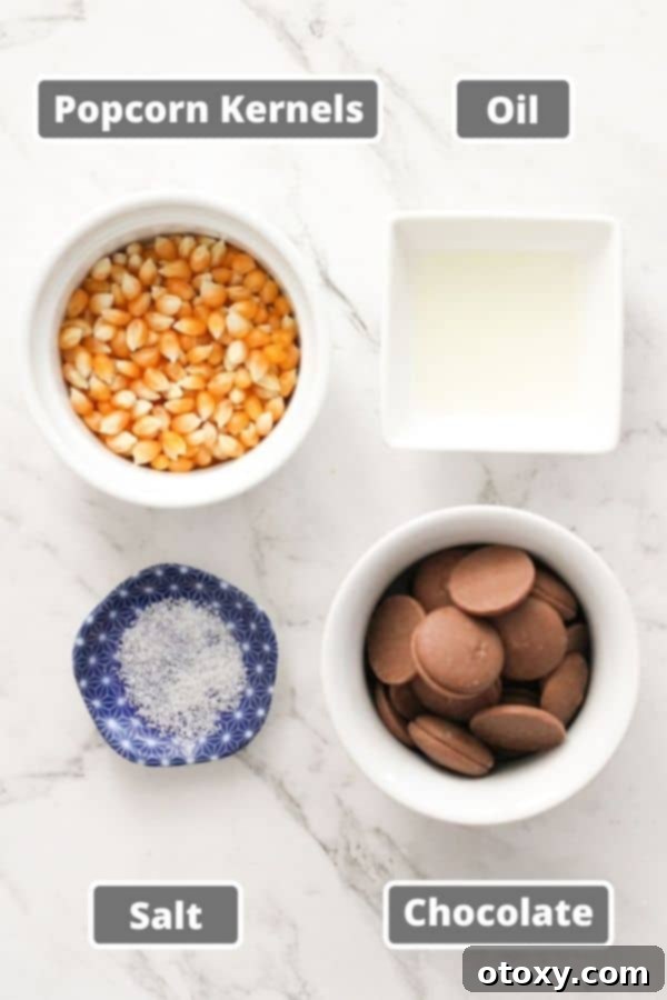 Decadent Chocolate Popcorn 4 chocolate popcorn ingredients including popcorn kernels and chocolate.