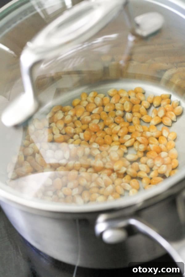 Decadent Chocolate Popcorn 5 popcorn kernels in a saucepan.