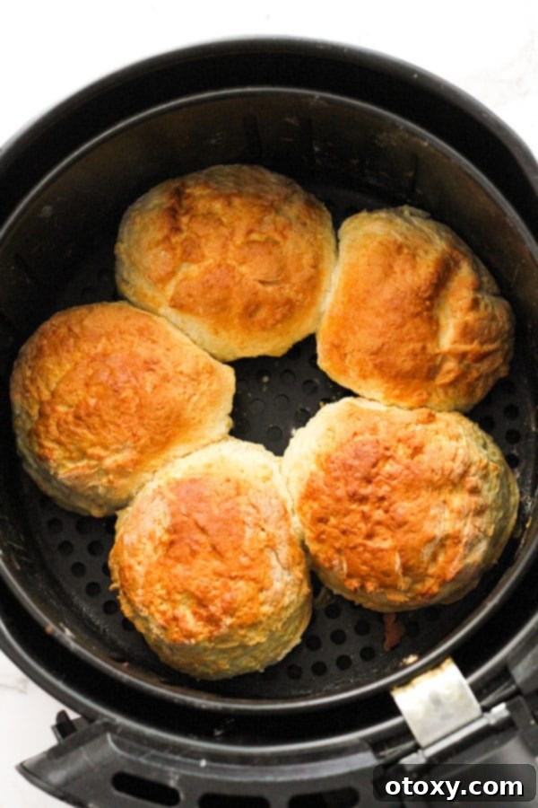 Golden Air Fryer Scones 9 Freshly baked and golden-brown air fryer scones resting in the air fryer basket, steam gently rising, indicating their delicious warmth and readiness for cooling.