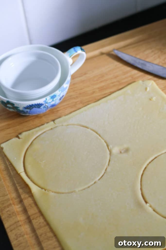 circles cut out of a sheet of shortcrust pastry.
