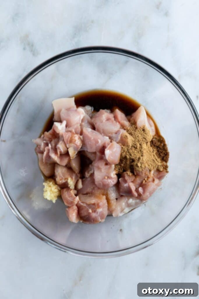 Golden Crispy Air Fryer Karaage 4 raw chicken pieces in a bowl.