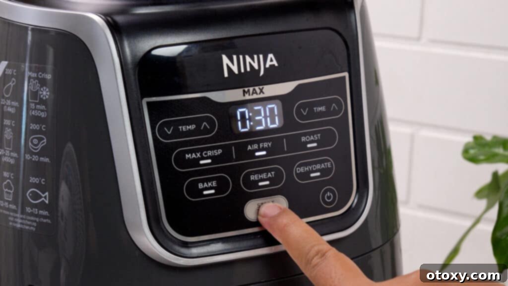 Perfect Air Fryer Roast Beef 13 Ninja air fryer set time to 30 minutes