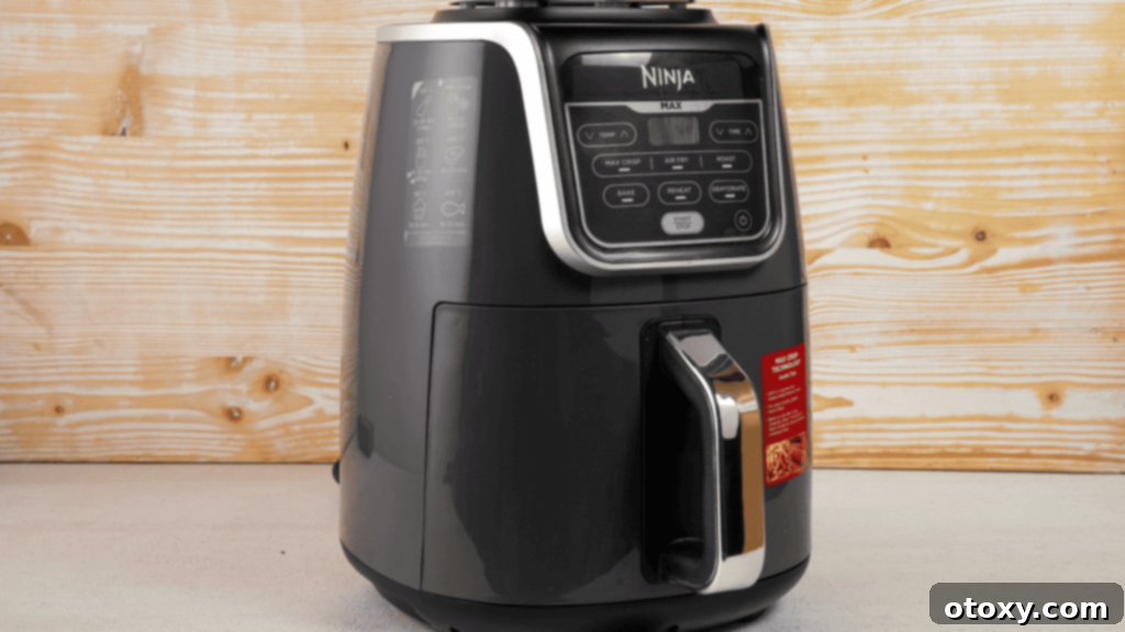 Basket Air Fryer Ninja